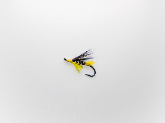 Wet Fly Lemon Tip #10