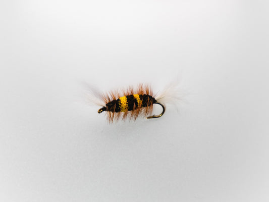 Dry Fly Bumblebee Bomber #6