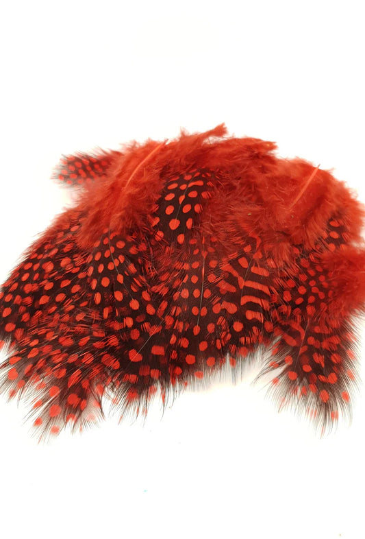 Shor Guinea Strung Red