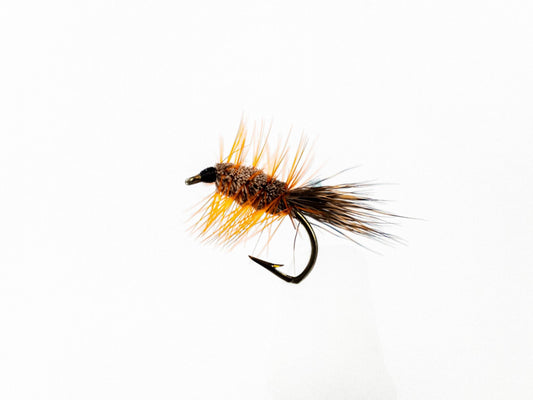 Dry Fly Orange Hackle Natural Body Bug
