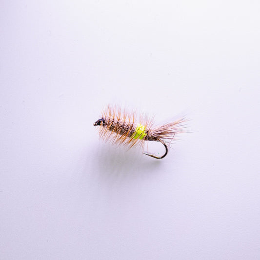 Dry Fly Chartreuse Brown Body Bug #6