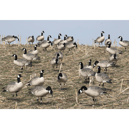 GHG Pro Grade Honker Feeders