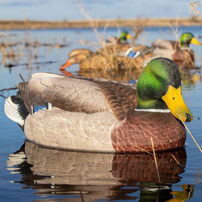 GHG Pro-Grade XD Series Black Duck Harvester 6-Pack