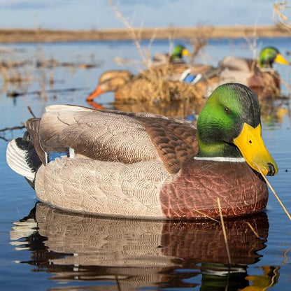 GHG Pro-Grade XD Series Black Duck Harvester 6-Pack