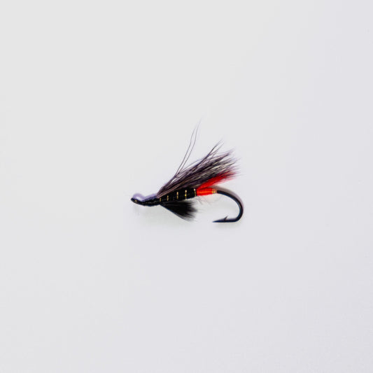 Wet Fly Murray Special #12