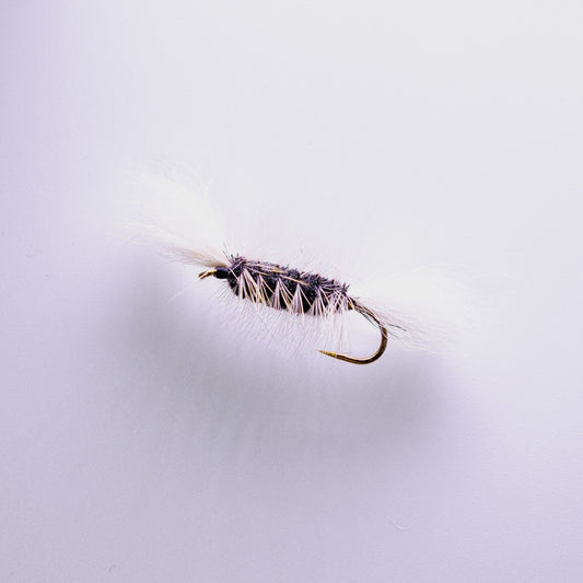 Dry Fly Black Body White Hackle Bomber #6