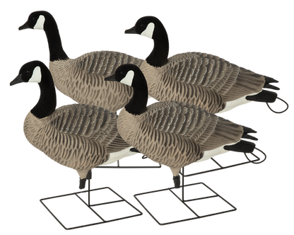 GHG XD Series Full-Body Honkers Active 4-Pack
