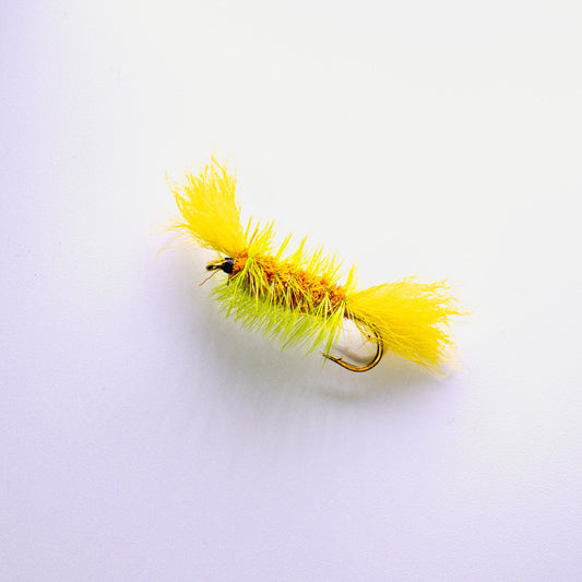 Dry Fly Orange Body Green Hackle Yellow Tail Bomber #6