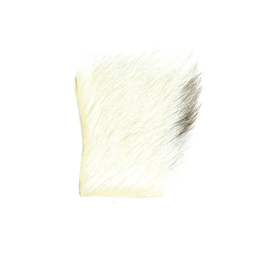 Shor Calf Body White