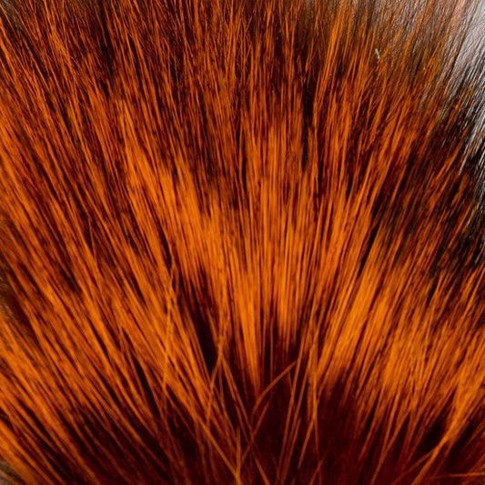 Shor Silver Fox Orange