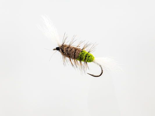 Dry Fly Brown Hackle Bomber #6