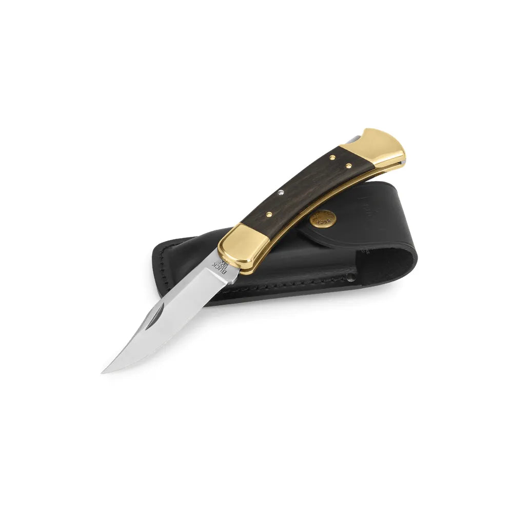 Buck 110 Folding Hunter Knife