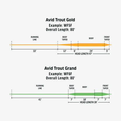 RIO Avid Series Trout Grand Pale Green WF8F