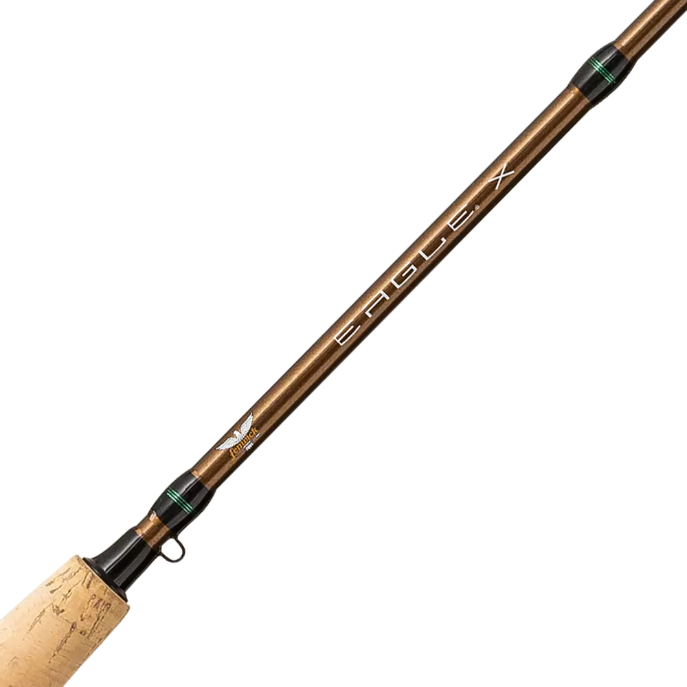 Fenwick Eagle X Fly Rod Combo 9' 8wt 4pc