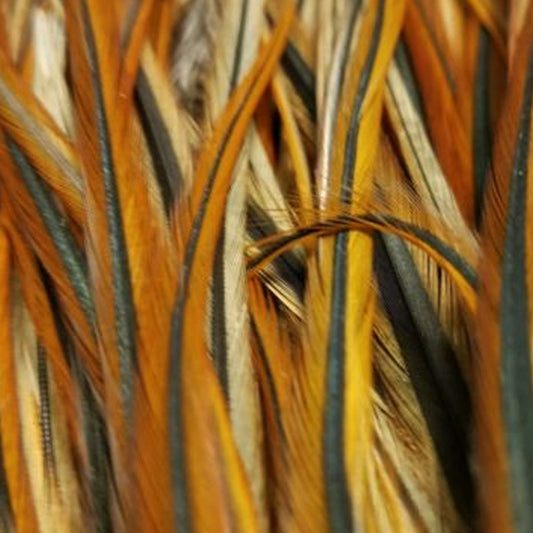 Shor Hackle 6" to 8" Furnace 3 g