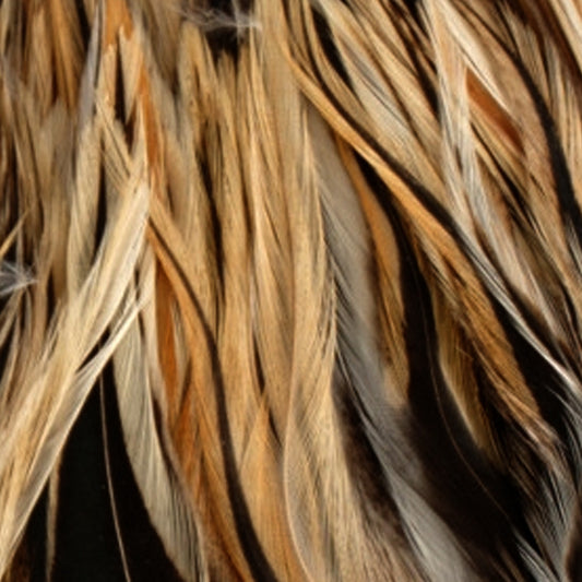 Shor Hackle6" to 8" Badger 3 g