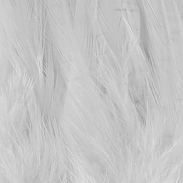 Shor Hackle 6" to 8" White 3 g