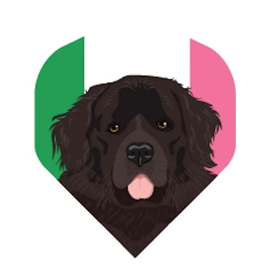 Datadart Metronic Flights Newfoundland Dog