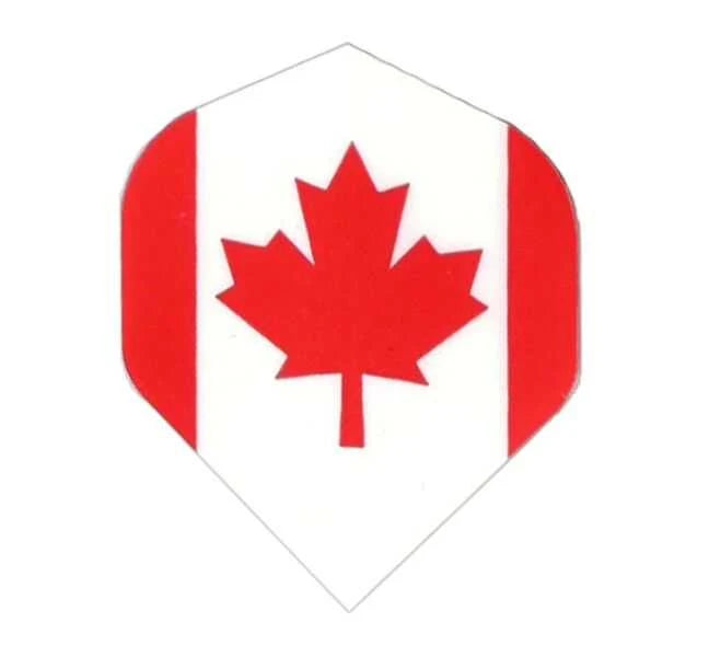 Datadart Metronic Dart Flights