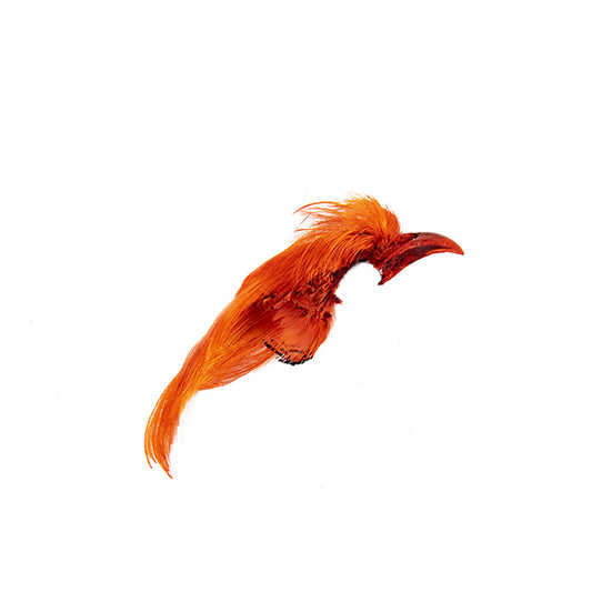 Shor Golden Pheasent Crest Dyed Hot Orange