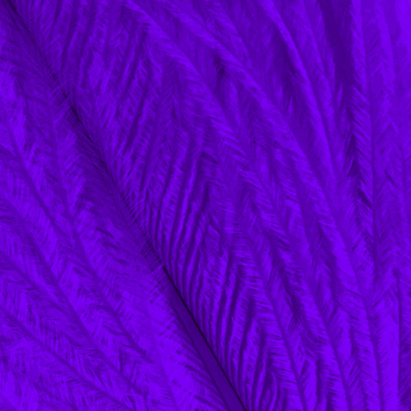 Shor Ostrich Herl Purple