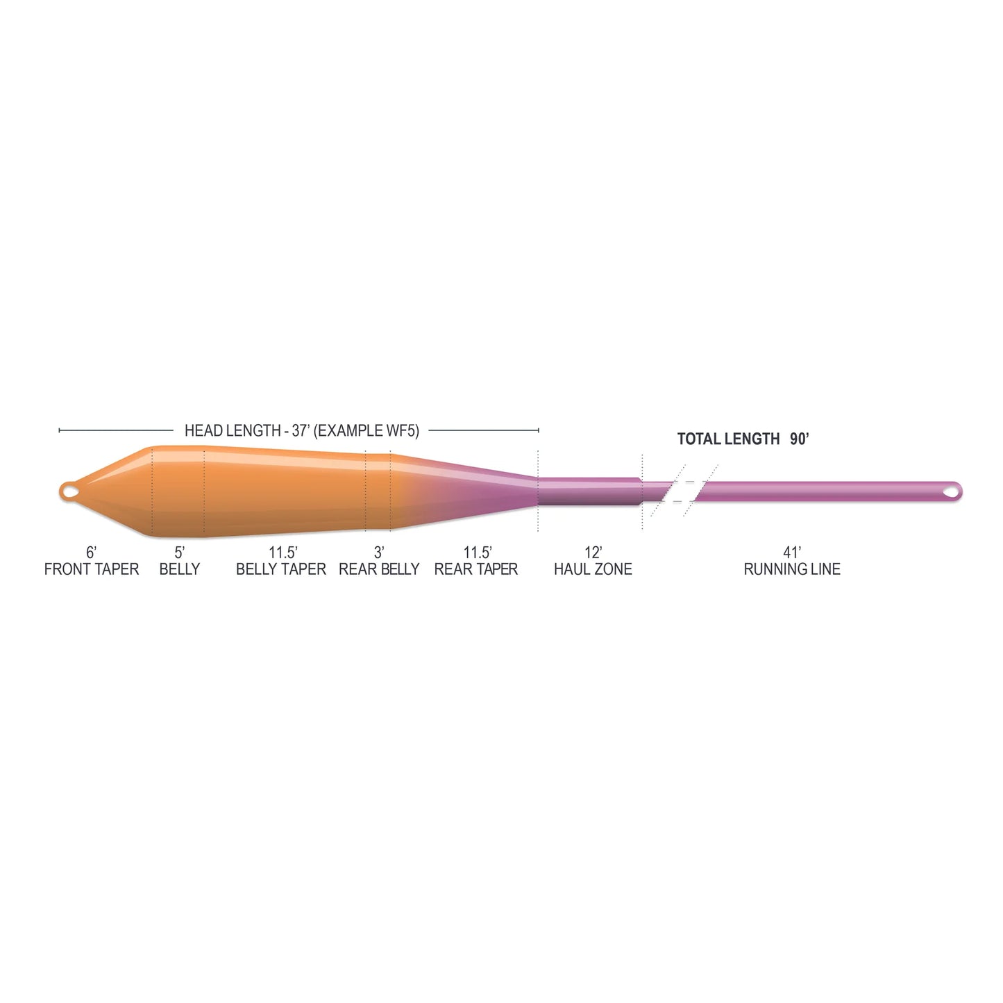 Airflo Superflo Max Ridge 2.0 Power Taper Sunburst/Purple 8wf