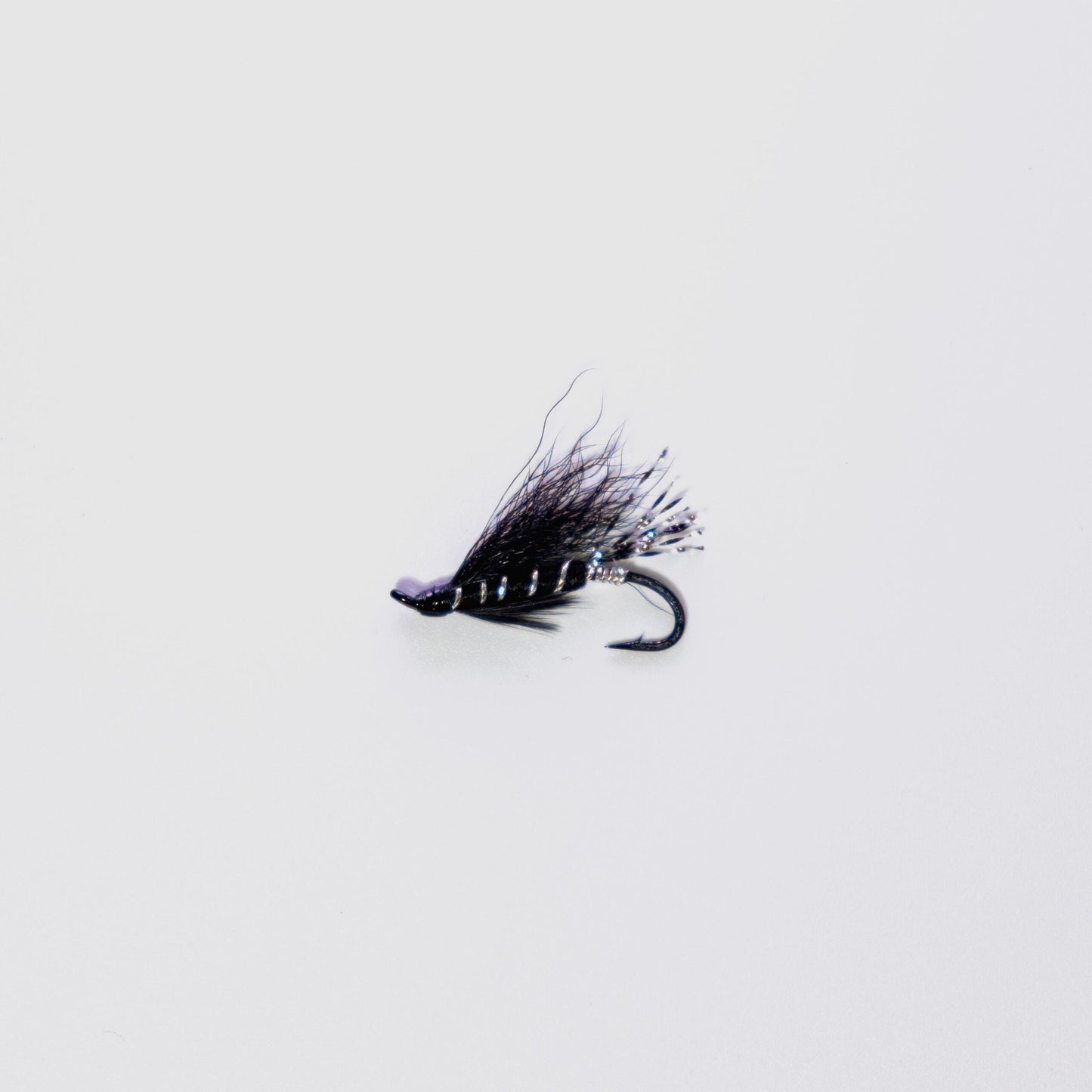 Wet Fly Black Bear Variant #10