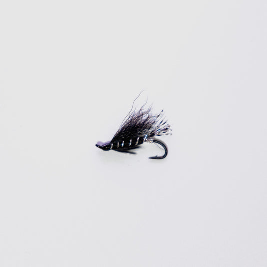 Wet Fly Black Bear Variant #10