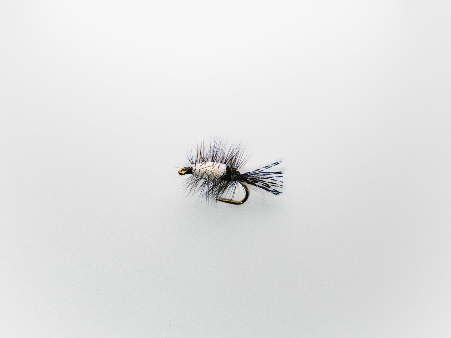 Dry Fly LRO Bug #8