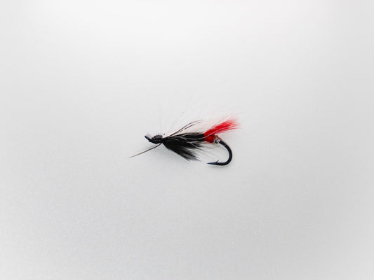 Wet Fly Butterfly Split Wing #6