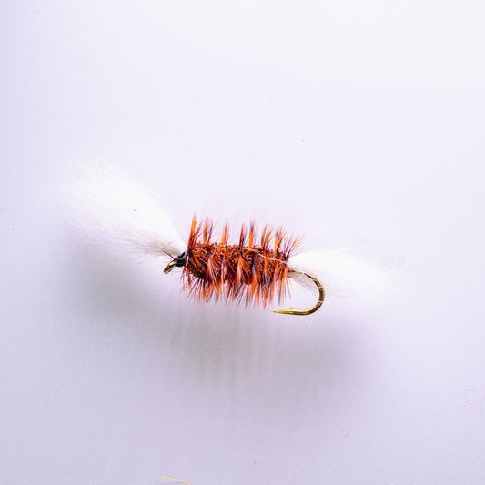 Dry Fly Gray Body Orange Hackle Bomber #6