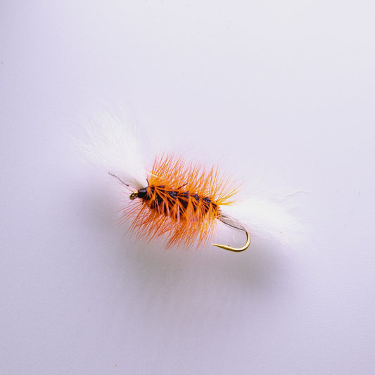 Dry Fly Black Body Orange Hackle Bomber #6