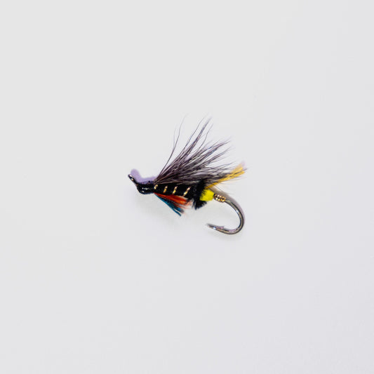 Wet Fly Thunder & Lighting #6