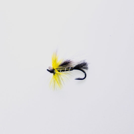 Wet Fly Black Cosseboom Black Hackle #8