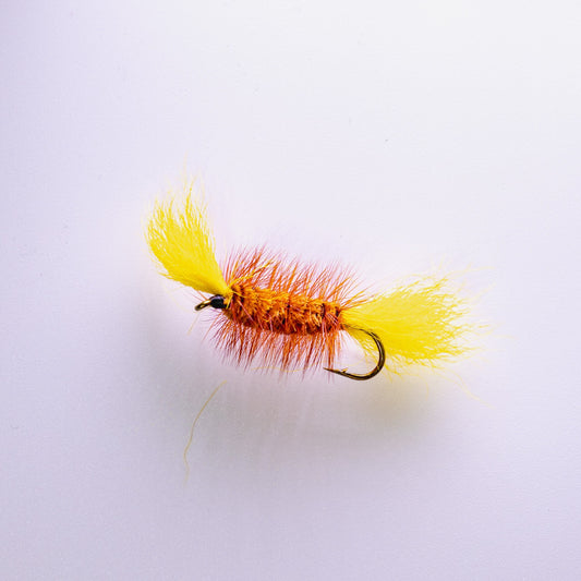 Dry Fly Orange Body Orange Hackle Yellow Tail Bomber #6