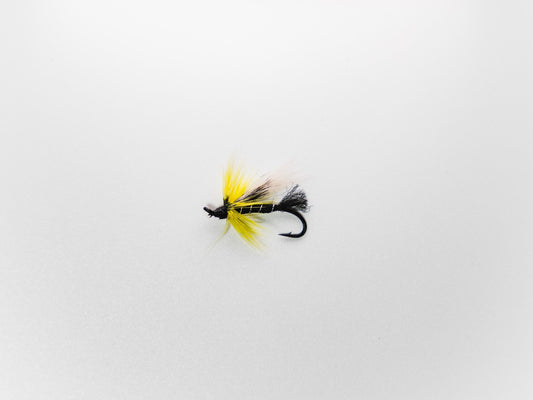 Wet Fly Black Cosseboom White Wing #10
