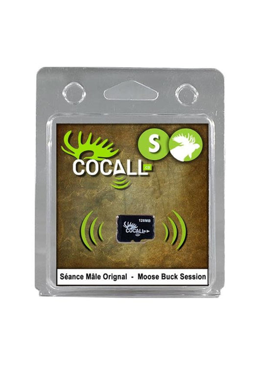 Cocall Moose Buck Session Card