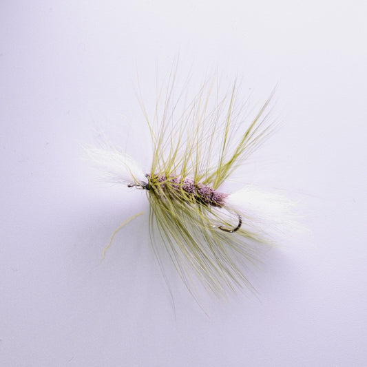 Dry Fly Olive Hackle Dirty Bombers #6