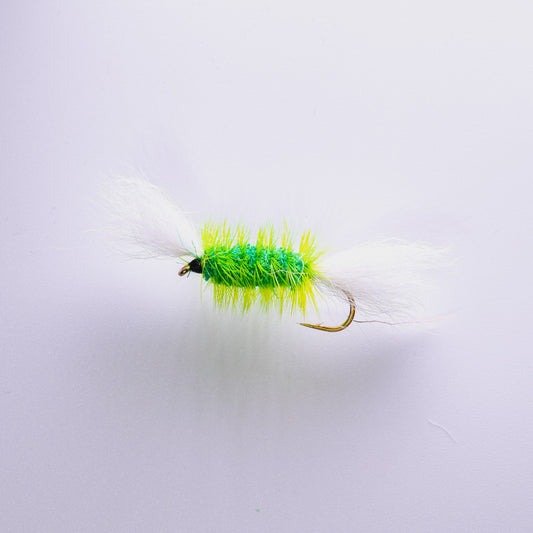 Dry Fly Green Body Green Hackle Bomber #6