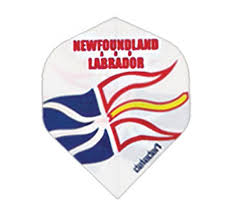 Datadart Metronic Flights Newfoundland Flag