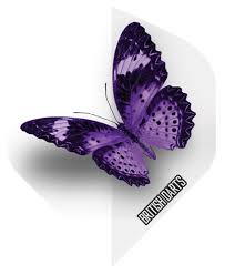 BD Flight Butterfly