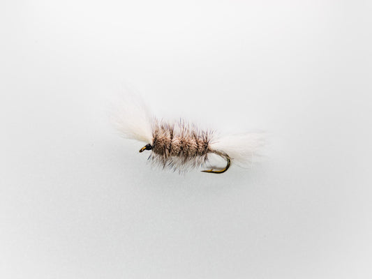 Dry Fly Gray Body Gray Hackle Bomber #6