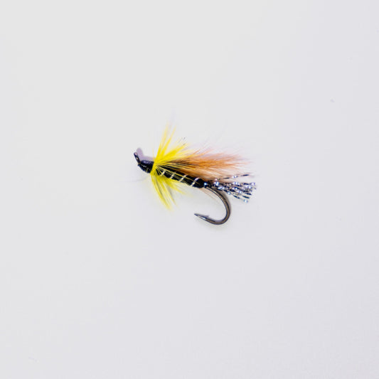 Wet Fly Black Cosseboom Brown Wing Black Hackle #10