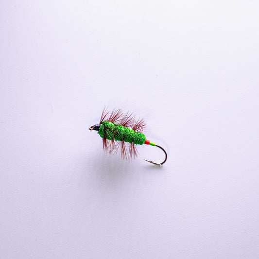 Dry Fly Green Machine Brown Hackle Bug #6