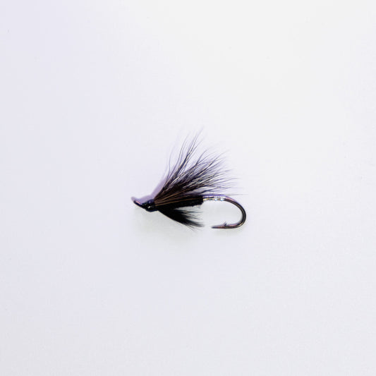 Wet Fly Silver Tip #10