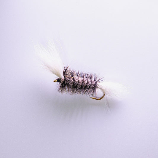 Dry Fly Gray Body Black Hackle Bomber #6