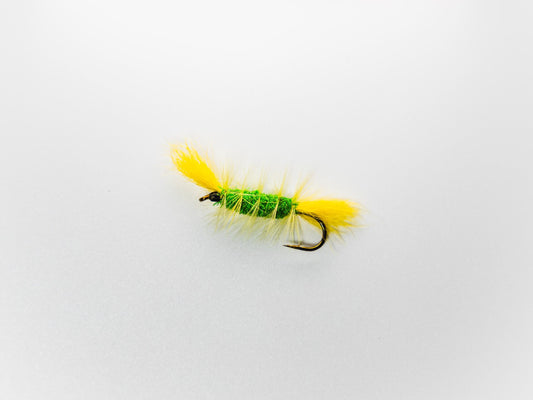 Dry Fly Green Body Yellow Hackle Yellow Tail Bomber #6
