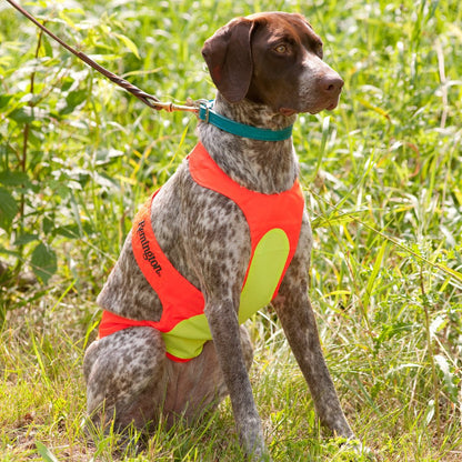 Remington Reflective Safety Vest for Dogs Size L