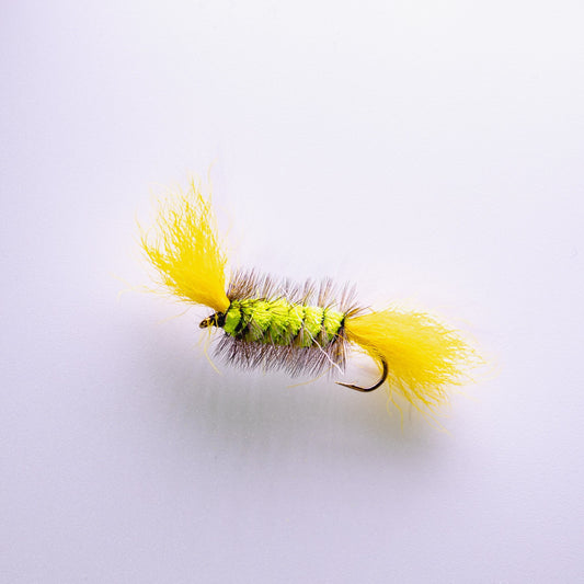 Dry Fly Green Body Brown Hackle Yellow Tail Bomber #6