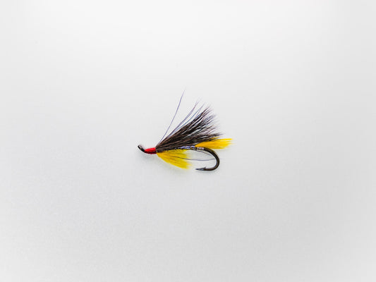 Wet Fly Silver Lady #8